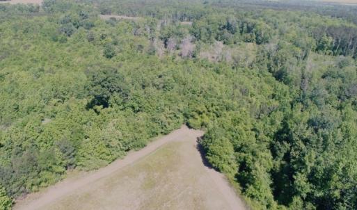Photo #14 of Off Holland Road, Greenville, NC 20.0 acres